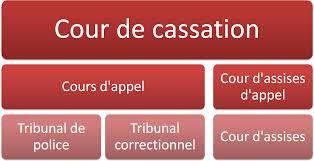 Quelles conclusions tirer du rapport d’activité de la Cour de cassation de 2024 ? 