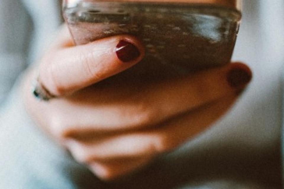 Les conditions de la plainte en ligne: les premiers pas d'une dématérialisation 
